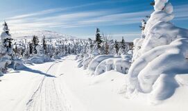 Kuzey Işıkları LAPLAND TURU (3 Gece Konaklamalı)