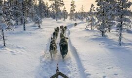 Kuzey Işıkları LAPLAND TURU SEVGİLİLER GÜNÜ (3 Gece Konaklamalı)