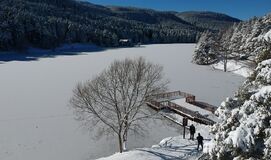 Yılbaşı ABANT GÖLCÜK KARTEPE-MAŞUKİYE ORMANYA TURU  (5*Radisson Blu Hotel 1 Gece)