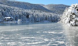 Yılbaşı ABANT GÖLCÜK KARTEPE-MAŞUKİYE ORMANYA TURU  (5*Radisson Blu Hotel 1 Gece)