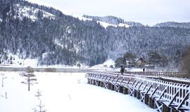 Yılbaşı ABANT GÖLCÜK KARTEPE-MAŞUKİYE ORMANYA TURU  (5*Radisson Blu Hotel 1 Gece)