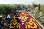 Lale Festivali ve Erguvan Zamanına Özel İSTANBUL TURU (2020)