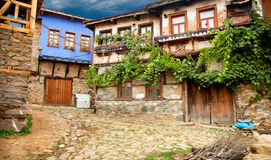 Yılbaşı BURSA ULUDAĞ TURU (5*Euro Park Otel 2 Gece Konaklama)